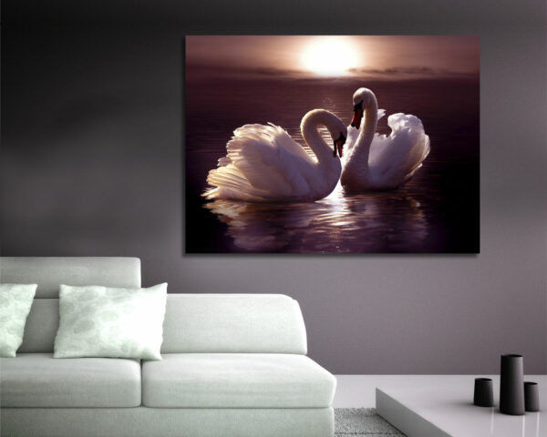 Quadro moderno animali "CIGNI AL TRAMONTO" - Stampa su tela