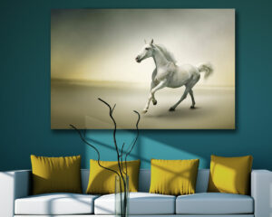 Quadro moderno animali "CAVALLO BIANCO AL GALOPPO" - Stampa su tela