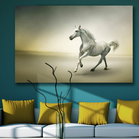 Quadro moderno animali "CAVALLO BIANCO AL GALOPPO" - Stampa su tela