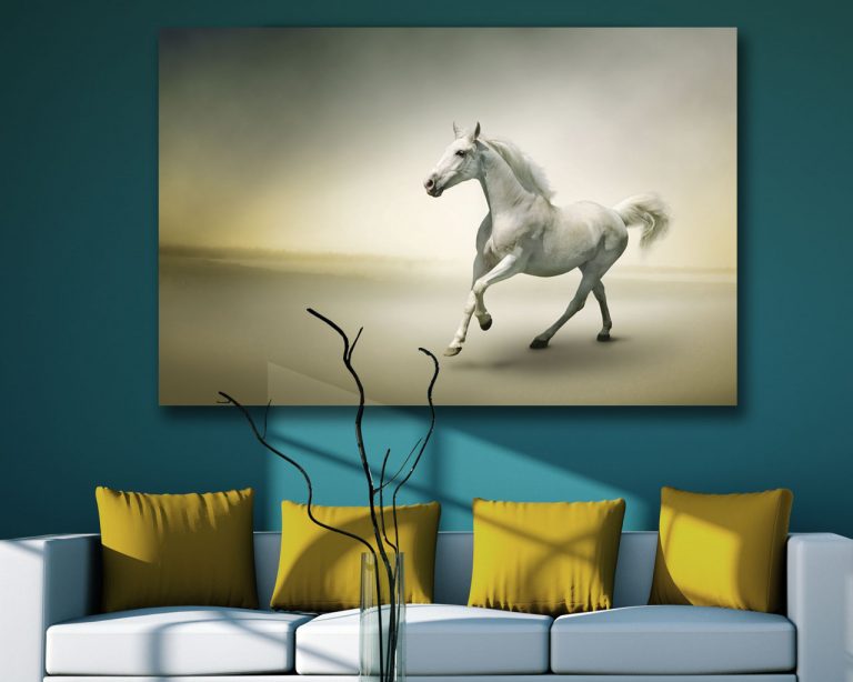 Quadro moderno animali "CAVALLO BIANCO AL GALOPPO" - Stampa su tela