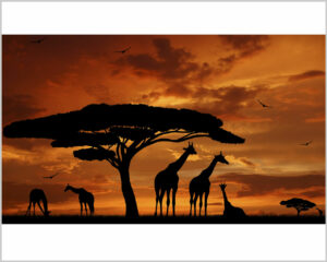 Stampa su tela-africa