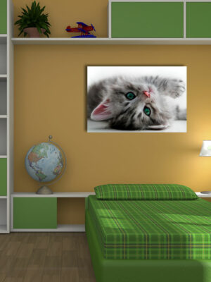 Quadro moderno animali "DOLCISSIMO GATTINO" - Stampa su tela