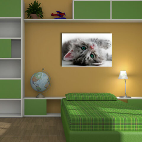 Quadro moderno animali "DOLCISSIMO GATTINO" - Stampa su tela