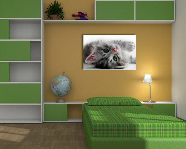 Quadro moderno animali "DOLCISSIMO GATTINO" - Stampa su tela
