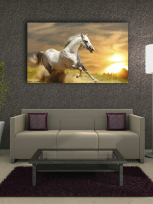 Quadro moderno "CAVALLO BIANCO CHE CORRE"
