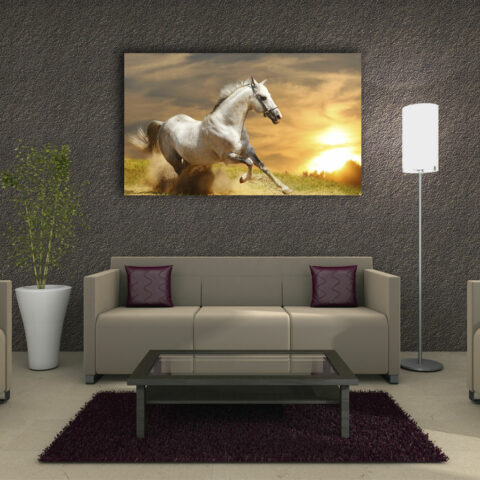 Quadro moderno "CAVALLO BIANCO CHE CORRE"