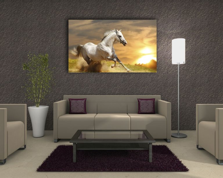 Quadro moderno "CAVALLO BIANCO CHE CORRE"