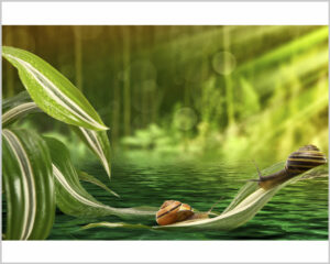 Stampa su tela-chiocciole