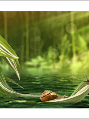 Stampa su tela-chiocciole