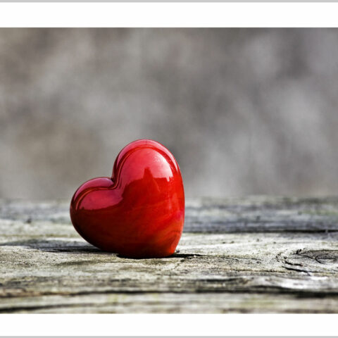 Stampa su tela - cuore rosso