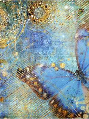 Stampa su tela - farfalla celeste