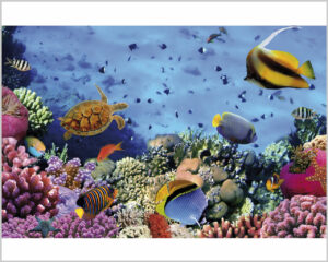 Stampa su tela - fondale