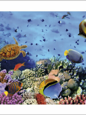 Stampa su tela - fondale