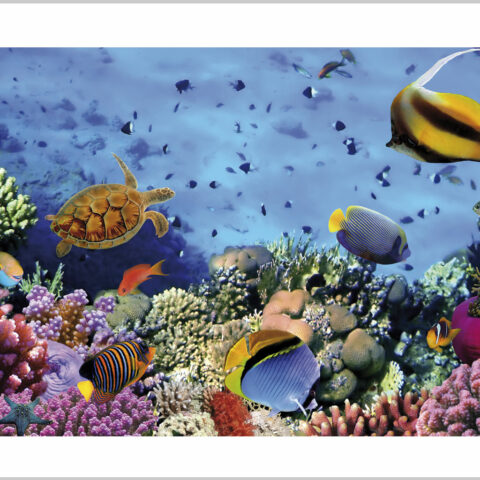 Stampa su tela - fondale