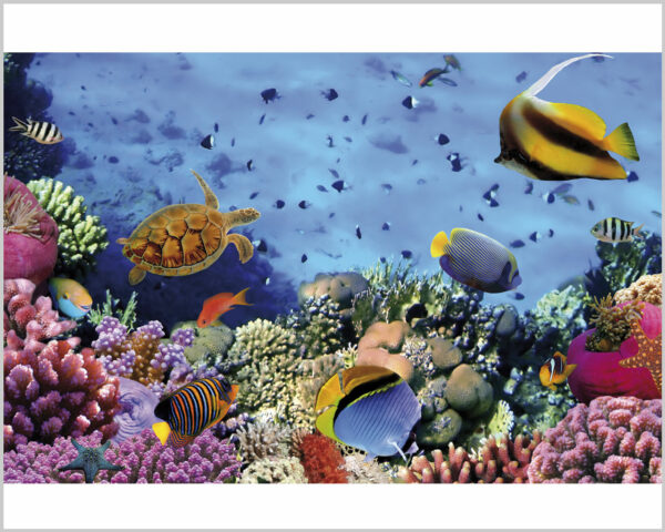 Quadro moderno pesci "FONDALE MARINO"