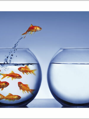 Stampa su tela- pesciolini