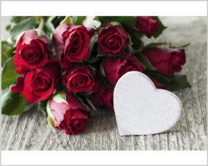 Stampa su tela- rose rosse