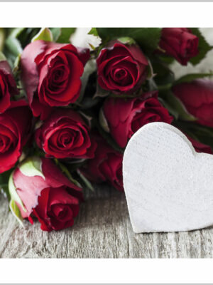 Stampa su tela- rose rosse