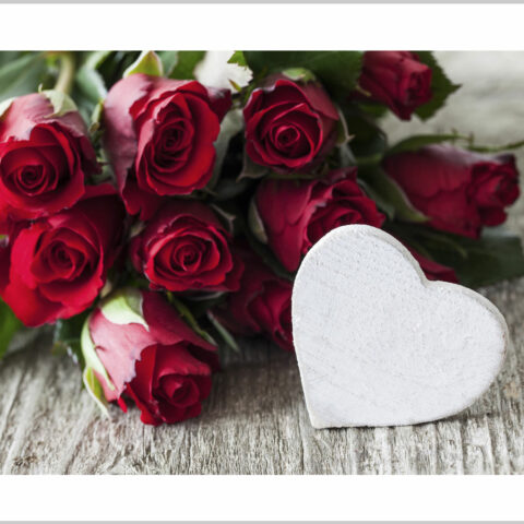 Stampa su tela- rose rosse