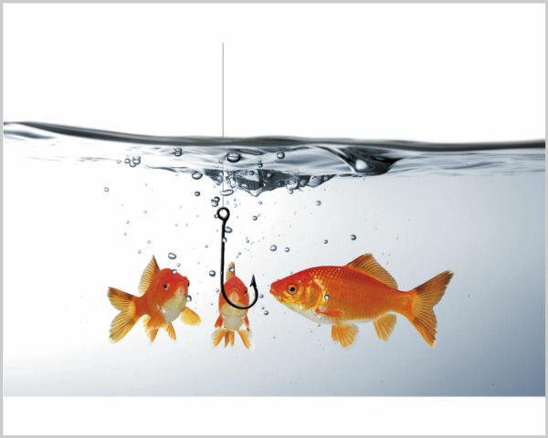 Quadro moderno "TRE PESCIOLINI ROSSI" - Stampa su tela