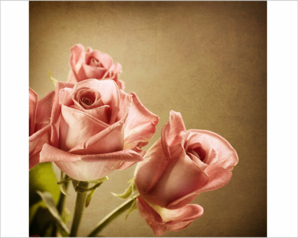 Quadro moderno fiori "PROFUMO DI ROSE FRESCHE"