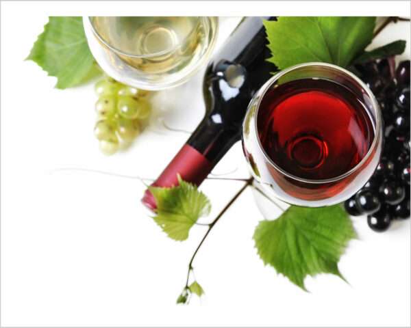 Quadro moderno cibo "AMABILI ASSAGGI DI VINI"