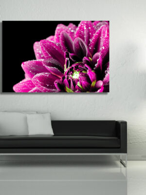 Quadro moderno fiori "GOCCE SU UNA DALIA" - Stampa su tela