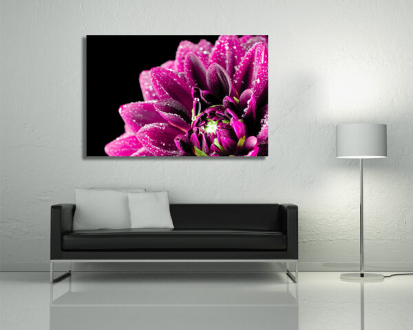 Quadro moderno fiori "GOCCE SU UNA DALIA" - Stampa su tela