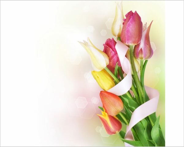 Quadro moderno fiori "FASCIO DI DELICATI TULIPANI"