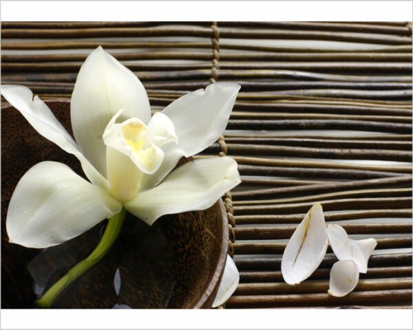 Quadro moderno benessere Spa "PETALI DI LILIUM SU BAMBOO" - Stampa su tela