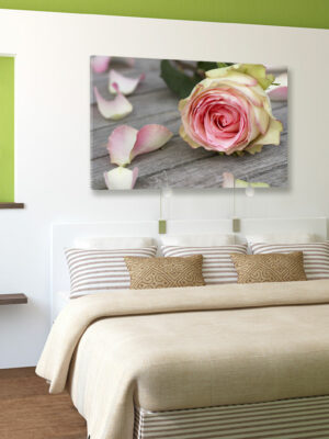 Quadro moderno fiori "ROSA TRA I PETALI" - Stampa su tela