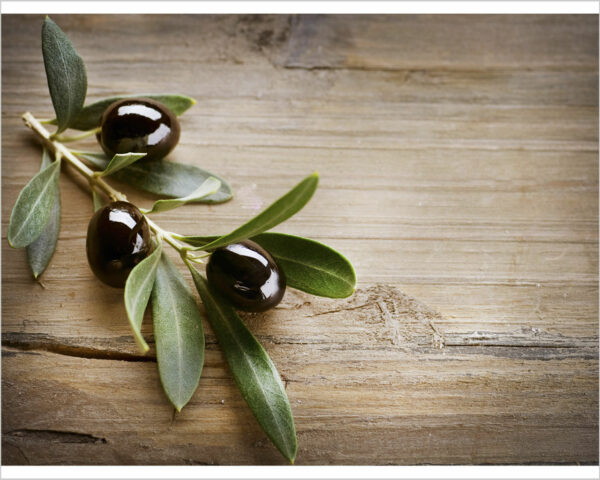 Quadro moderno cibo "DELICATO RAMO DI ULIVO"