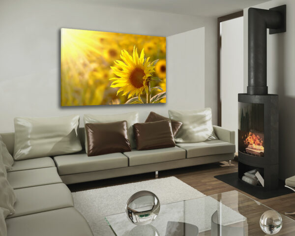 Quadro moderno natura "GIRASOLE IN UN CAMPO" - Stampa su tela