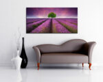 Quadro moderno natura "ALBERO DI LAVANDA NEL CAMPO" - Stampa su tela