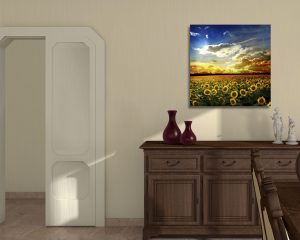 stampa su tela-campo di girasoli al tramonto-stampa su tela