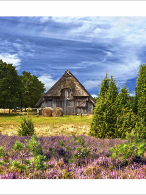 paesaggio di-campagna