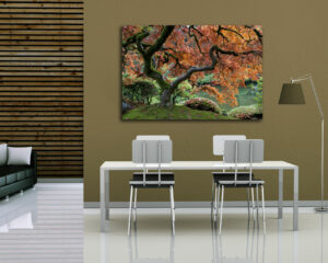 Quadro moderno natura "ACERO GIAPPONESE" - Stampa su tela