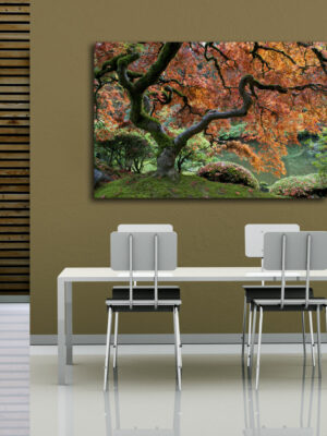 Quadro moderno natura "ACERO GIAPPONESE" - Stampa su tela