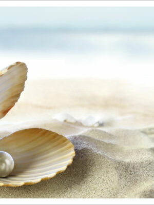 perla in una conchiglia