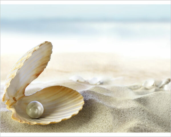 Quadro moderno natura mare "PERLA PREZIOSA" - Stampa su tela