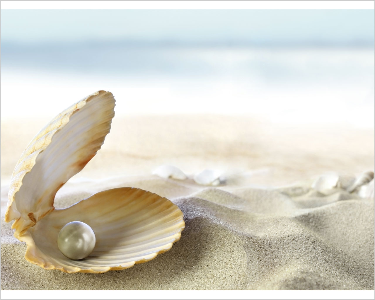 Quadro moderno natura mare "PERLA PREZIOSA" - Stampa su tela