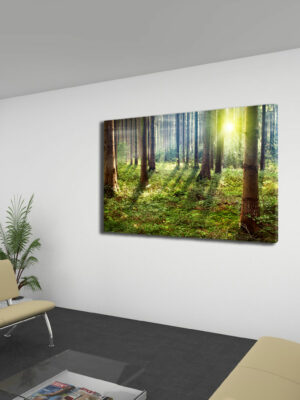 Quadro moderno natura "RAGGI DI SOLE NEL BOSCO" - Stampa su tela