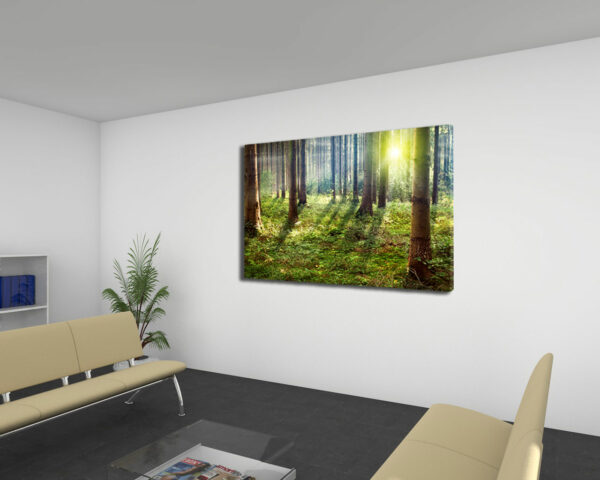 Quadro moderno natura "RAGGI DI SOLE NEL BOSCO" - Stampa su tela