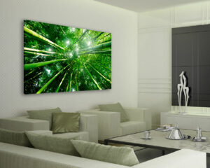 Quadro moderno natura "SOLE TRA I BAMBOO" - Stampa su tela