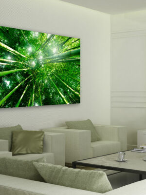 Quadro moderno natura "SOLE TRA I BAMBOO" - Stampa su tela