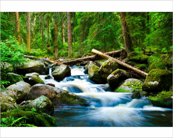 Quadro moderno natura "TORRENTE IMPETUOSO" - Stampa su tela