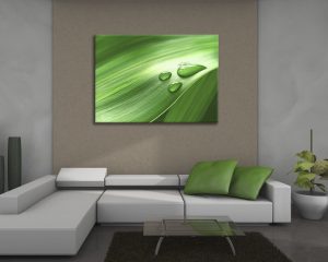 stampa su tela-gocce di rugiada