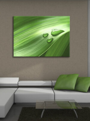 Quadro moderno natura "GOCCIOLINE SU UNA FOGLIA" - Stampa su tela