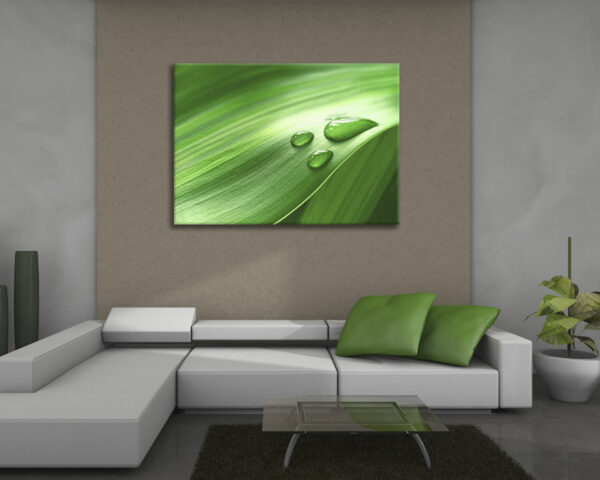Quadro moderno natura "GOCCIOLINE SU UNA FOGLIA" - Stampa su tela