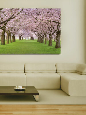 Quadro moderno natura "TRA CILIEGI IN FIORE" - Stampa su tela